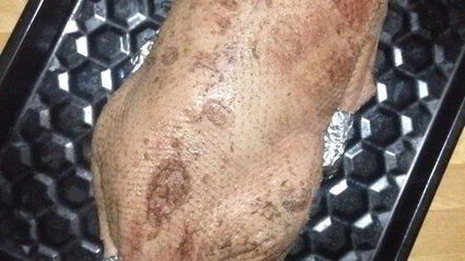 фаршированный гусь, запеченный в духовке с яблоками