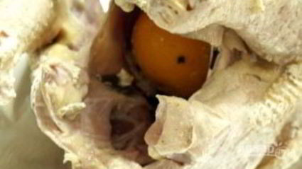 индюк в духовке