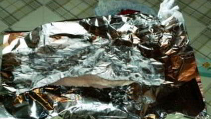 куриные грудки, запеченные в пряностях