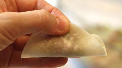 японские жареные пельмени