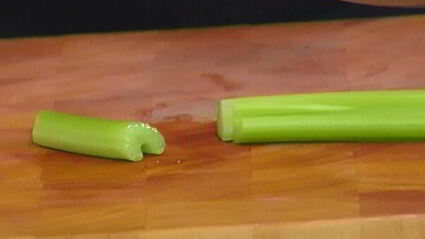 паста с рагу из утки