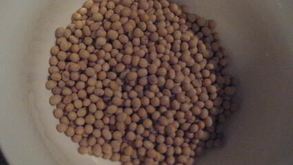 рагу с соевыми бобами в чугунке