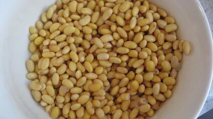 рагу с соевыми бобами в чугунке