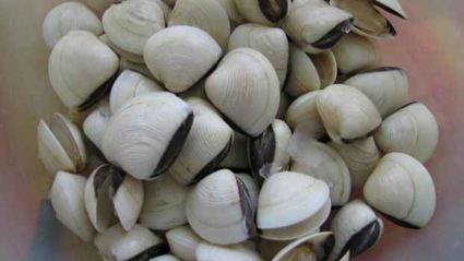 ризотто черное с дарами моря