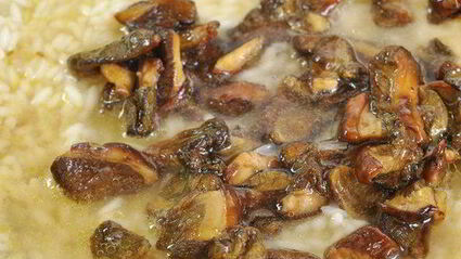 ризотто с лесными грибами