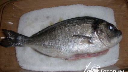 дорада запеченая в соли