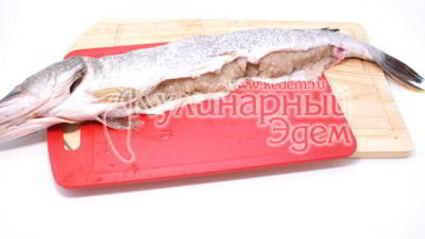 фаршированная щука