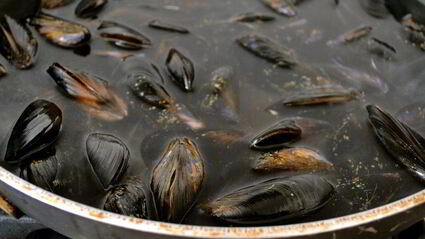 фаршированные мидии, запеченные под картофельной корочкой