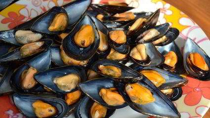 фаршированные мидии, запеченные под картофельной корочкой