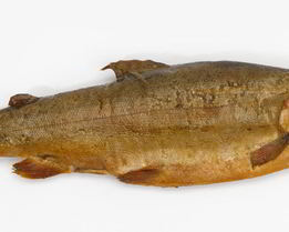 Лещ горячего копчения