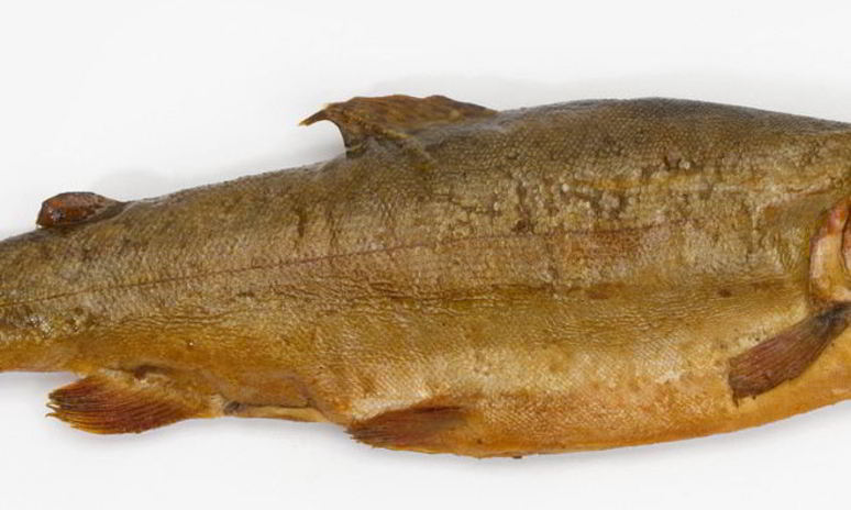 Рецепт леща горячего копчения