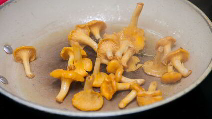 морской окунь с лисичками