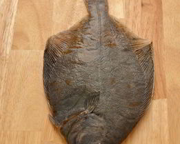 Разделанная камбала