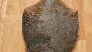 Разделанная камбала