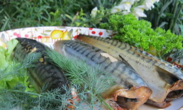 Рецепт скумбрии домашнего копчения