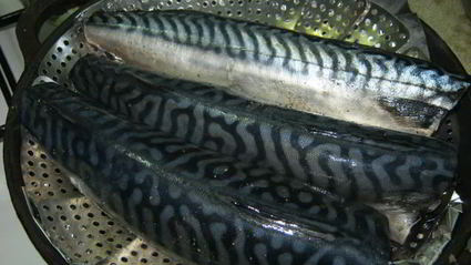 скумбрия домашнего копчения