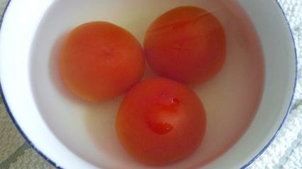 треска мистраль