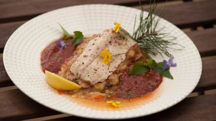 жареный карп с кабачковой икрой и сосновыми иголками