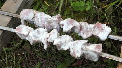 шашлык из говядины