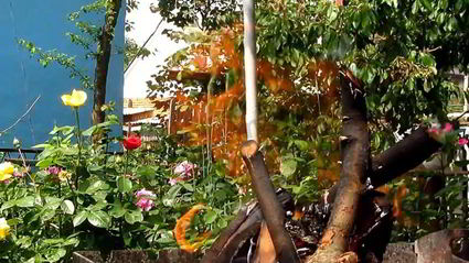 шашлык из индейки с салом