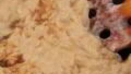 шашлык из рыбы с яблочным соусом