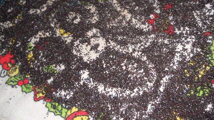 вкуснейшие вареники с маком