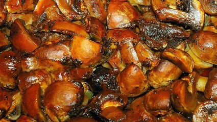 жаркое из говядины с грибами и овощами