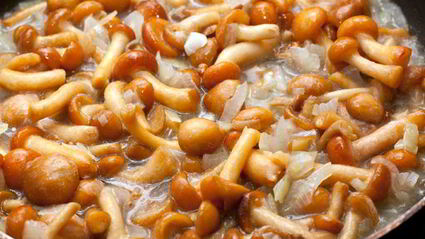 куриные зразы с грибами