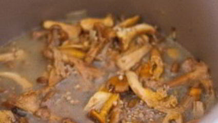 гречка с лисичками в мультиварке