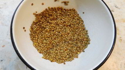 каша из зеленой чечевицы в мультиварке