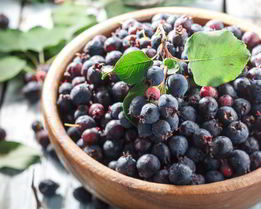 Домашнее вино из ирги