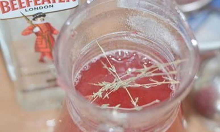 Рецепт горячего клюквенного напитка с джином