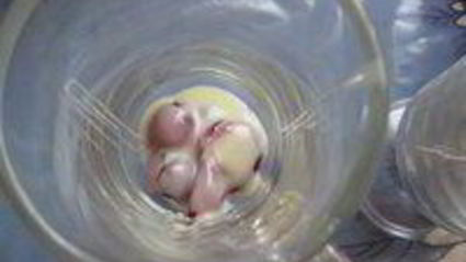 кофейно-вишневый коктейль утреннее наслаждение