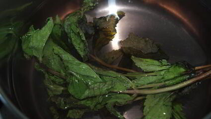 напиток из калины с мятой и медом