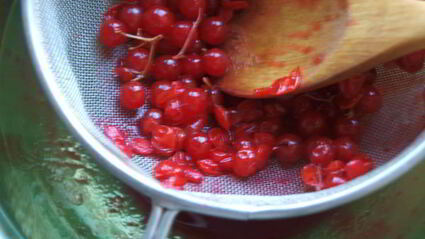 напиток из калины с мятой и медом