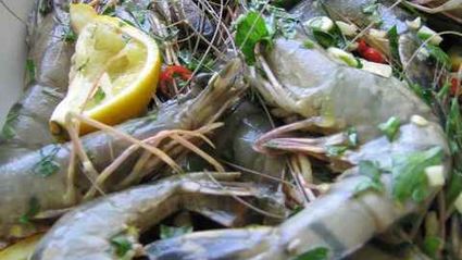 пиво с креветками