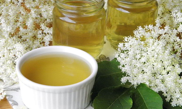 Рецепт сиропа из бузины