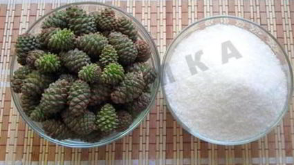 сироп из сосновых шишек