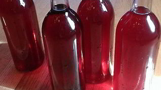 Вино из черноплодки