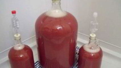 вино из черноплодки