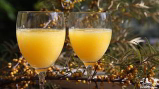 Вино из облепихи