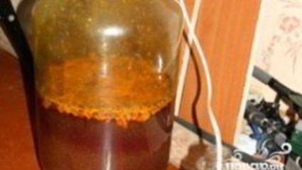 вино из облепихи