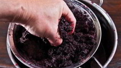 вино из рябины