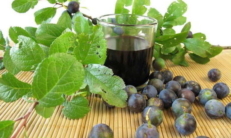 Рецепт вина из терновника