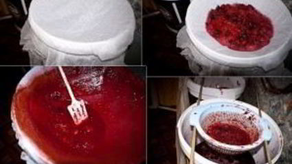 вино из терновника