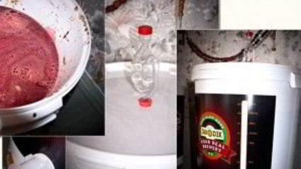 вино из терновника