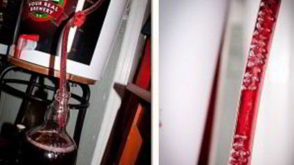 вино из терновника