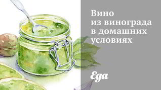 Вино из винограда