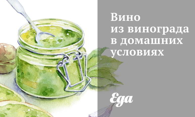 Рецепт вина из винограда