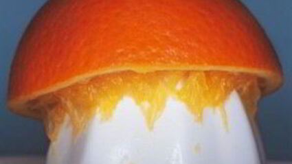 витаминный напиток ягодка мэдли